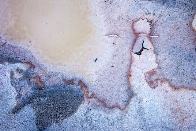 Why Professional Mould Removal in Singapore Matters More Than You Think